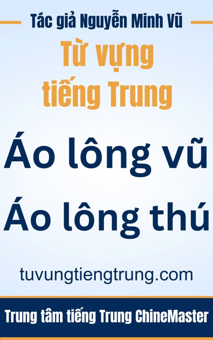 Từ vựng tiếng Trung Áo lông Vũ Áo lông thú Tác giả Nguyễn Minh Vũ